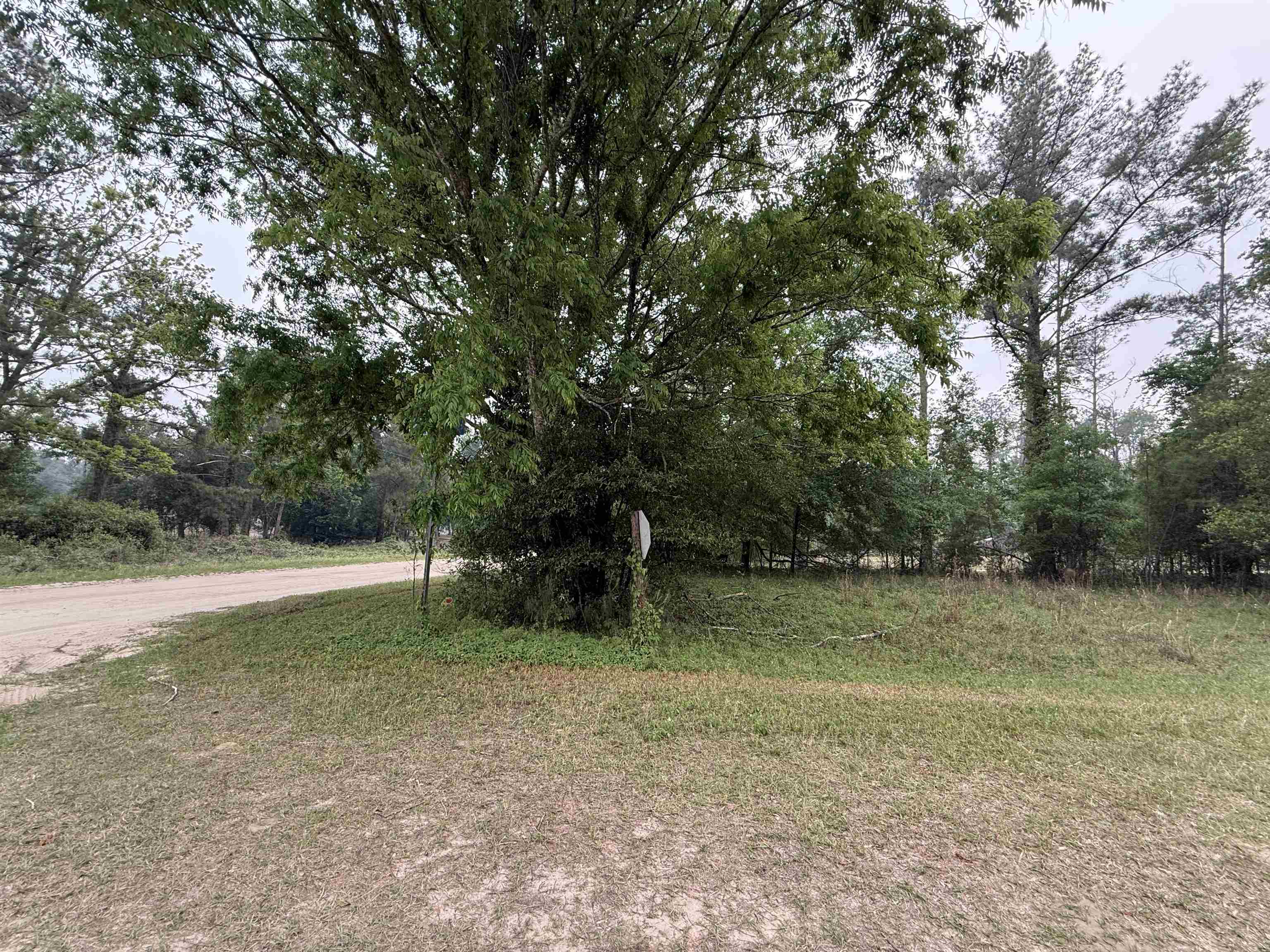 455 Northeast Blue Ridge Landing Avenue Lee, FL 32059 - Photo 11 of 21