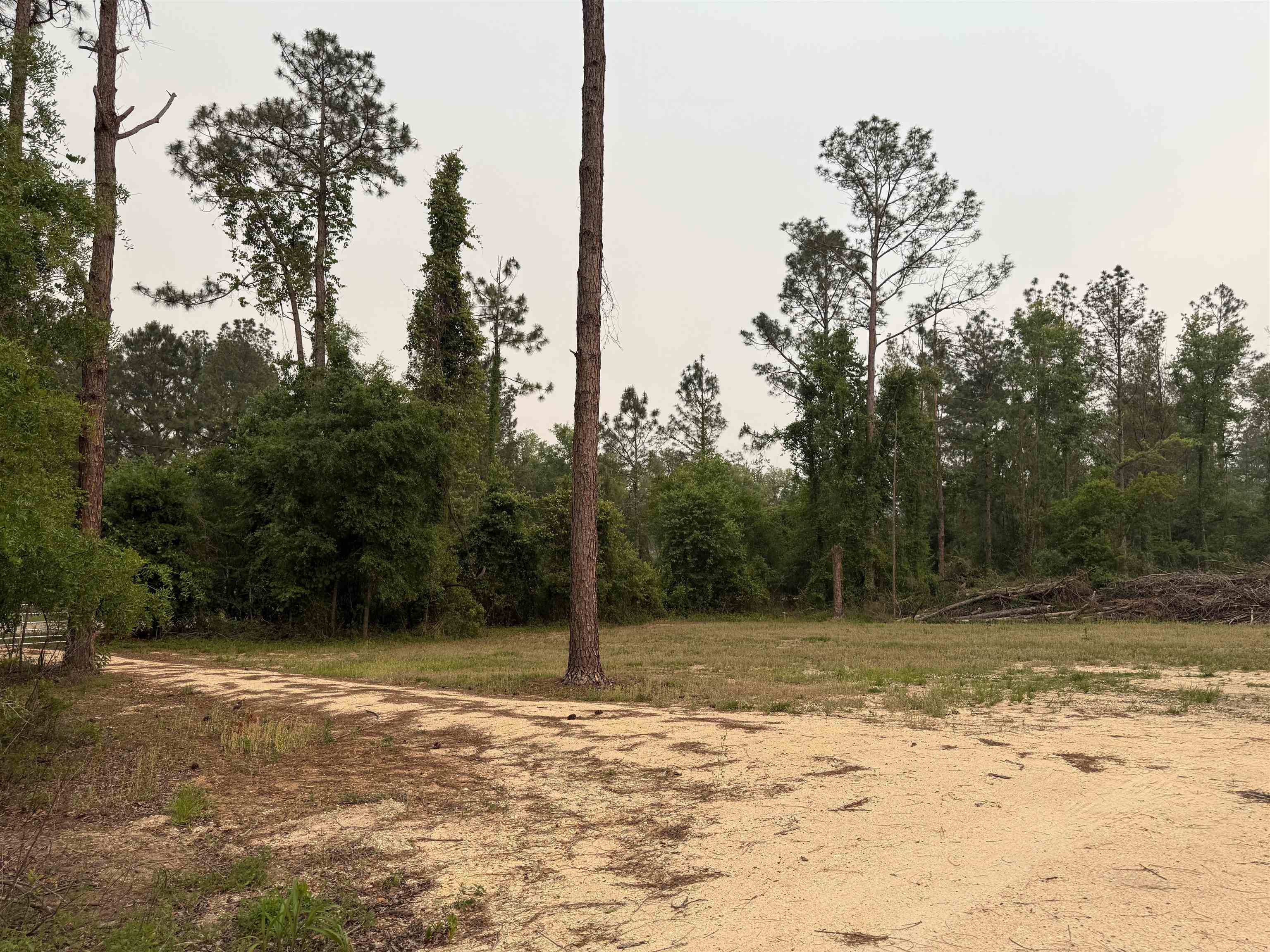 455 Northeast Blue Ridge Landing Avenue Lee, FL 32059 - Photo 14 of 21