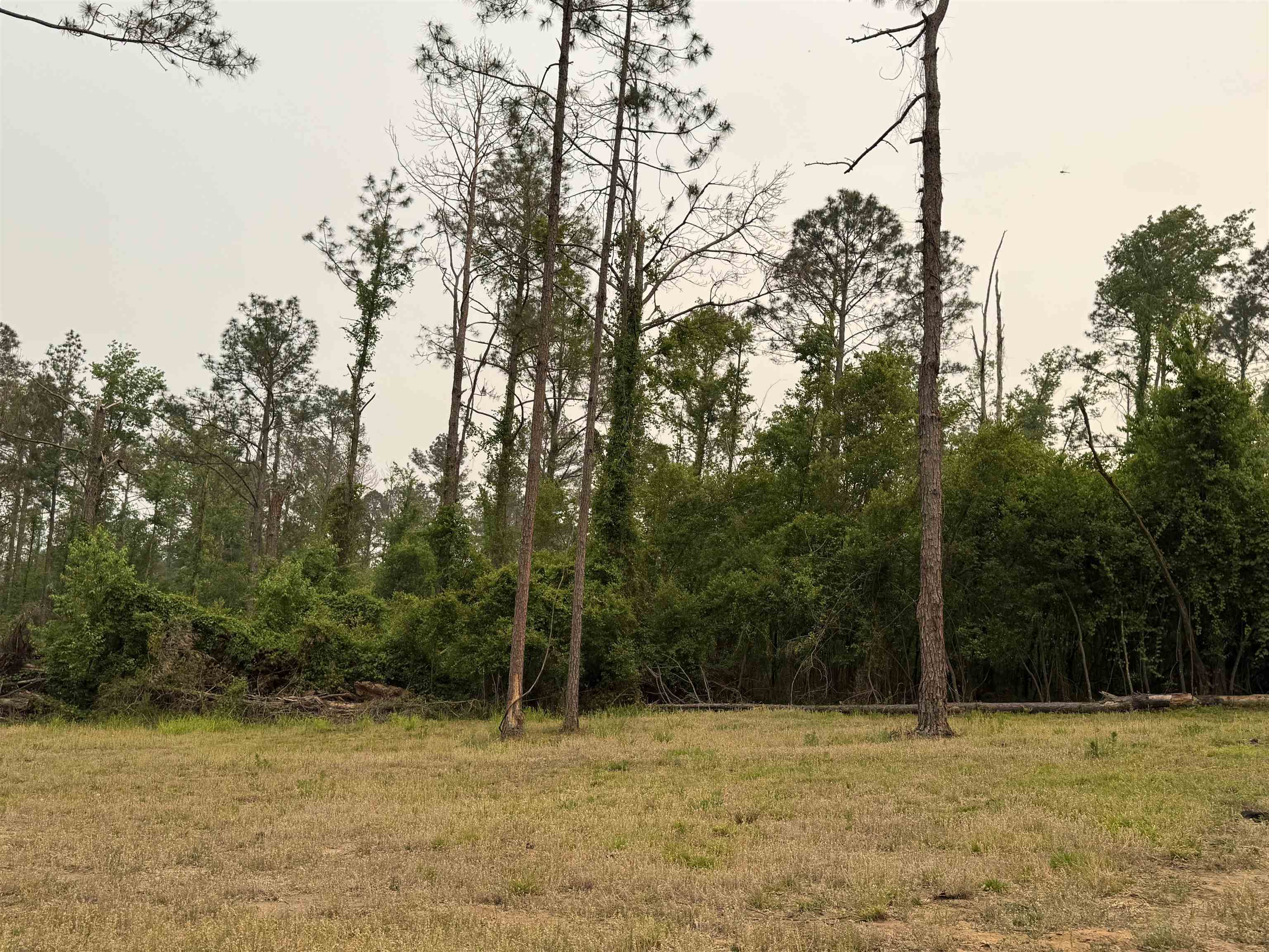 455 Northeast Blue Ridge Landing Avenue Lee, FL 32059 - Photo 18 of 21