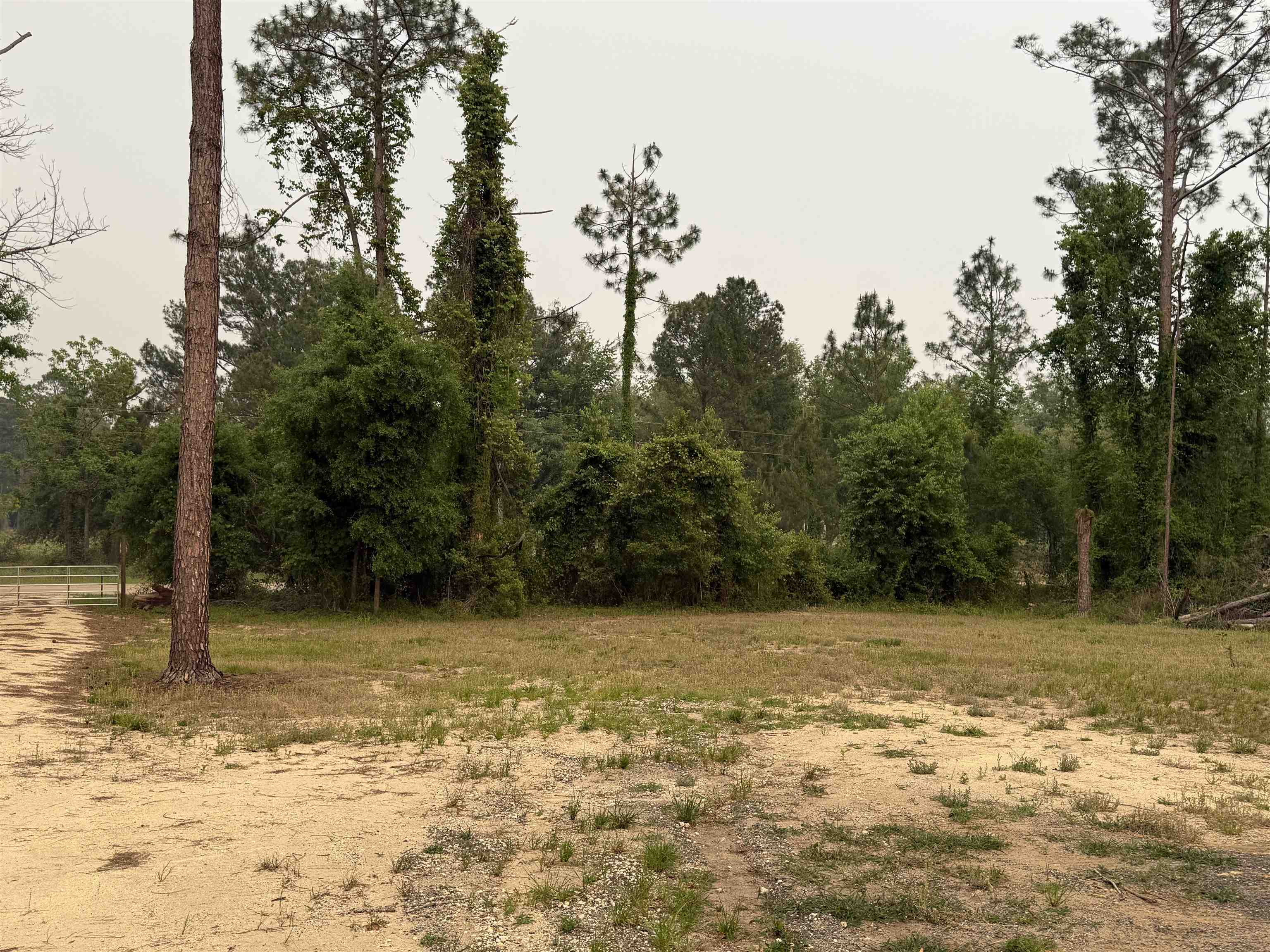 455 Northeast Blue Ridge Landing Avenue Lee, FL 32059 - Photo 20 of 21