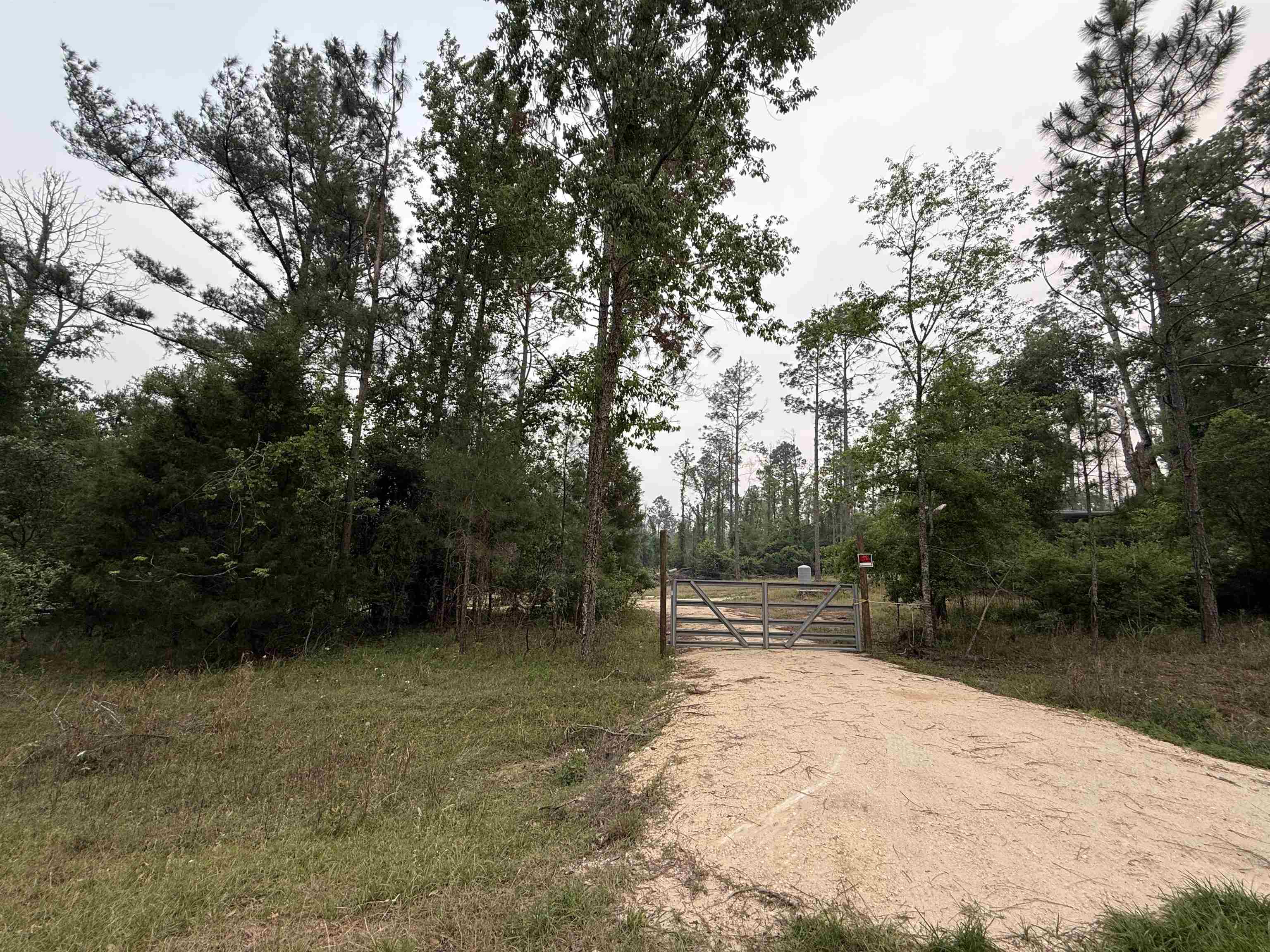 455 Northeast Blue Ridge Landing Avenue Lee, FL 32059 - Photo 10 of 21