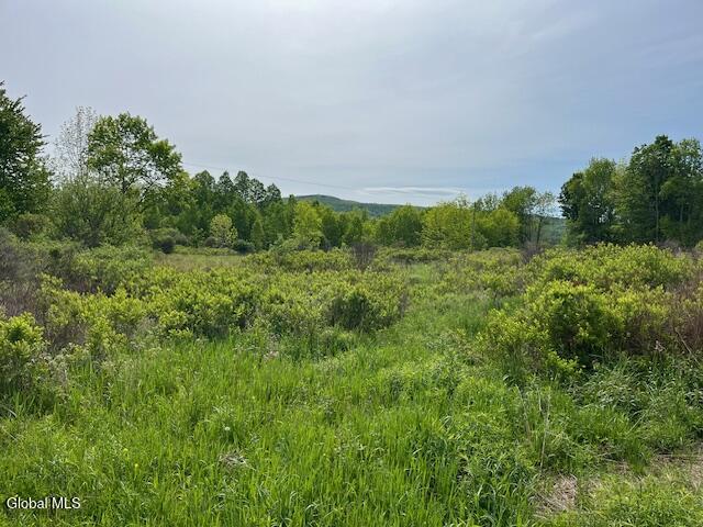 L9 Harrington Road Gilboa, NY 12076 - Photo 19 of 27 IMG_5387