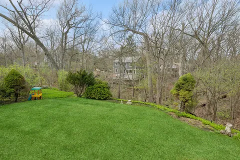 a view of a yard with flower plants and large trees