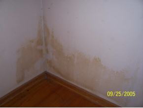 202 Ricker Avenue Greeneville, TN 37743 - Photo 7 of 9 Photo 7