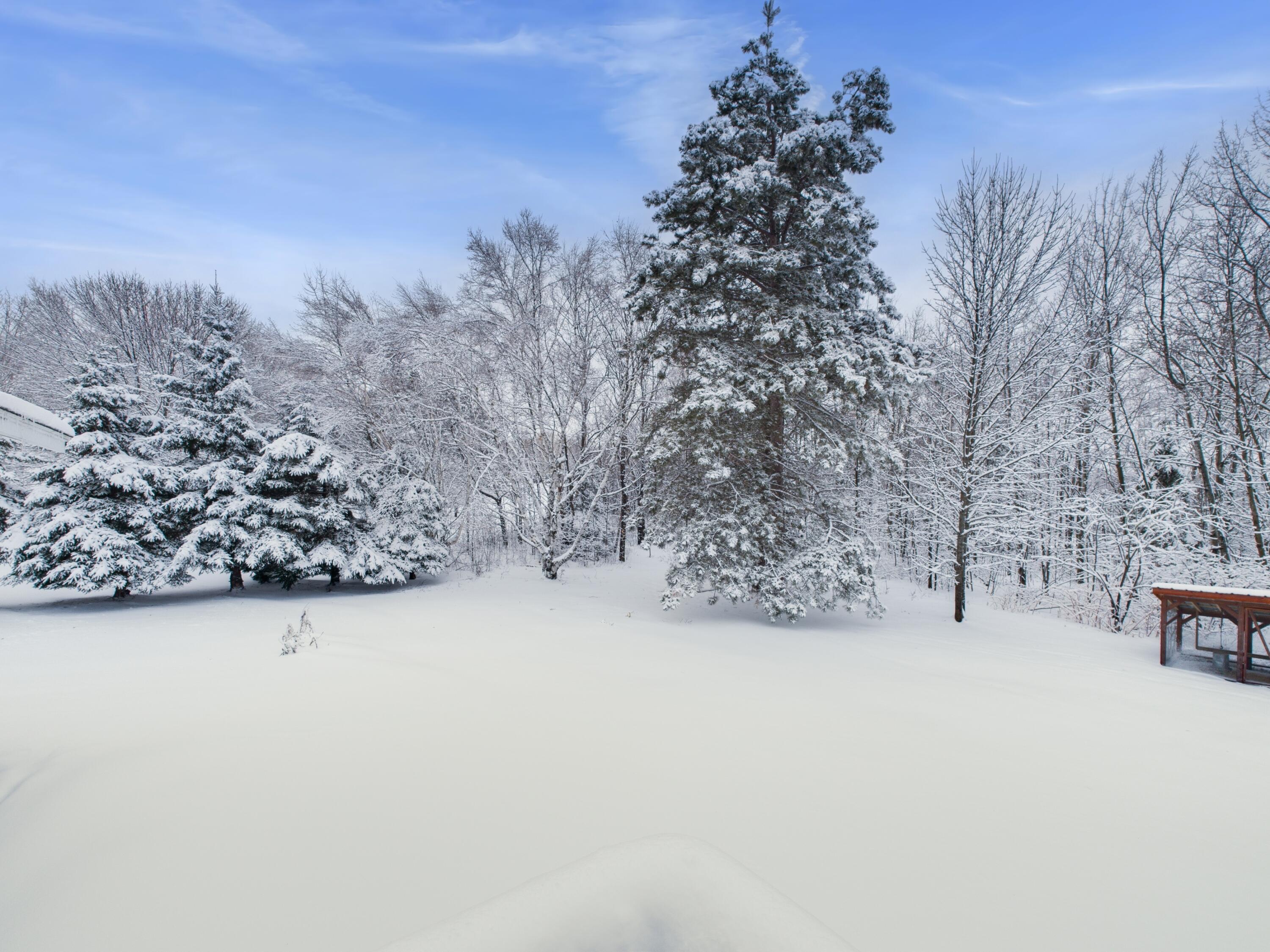 477 Haystack Road Castle Hill, ME 04757 - Photo 47 of 52 CAM05521G0-PR0047-STILL040