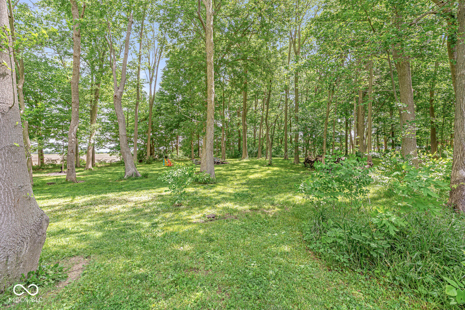 5599 Brandywine Road Shelbyville, IN 46176 - Photo 42 of 48