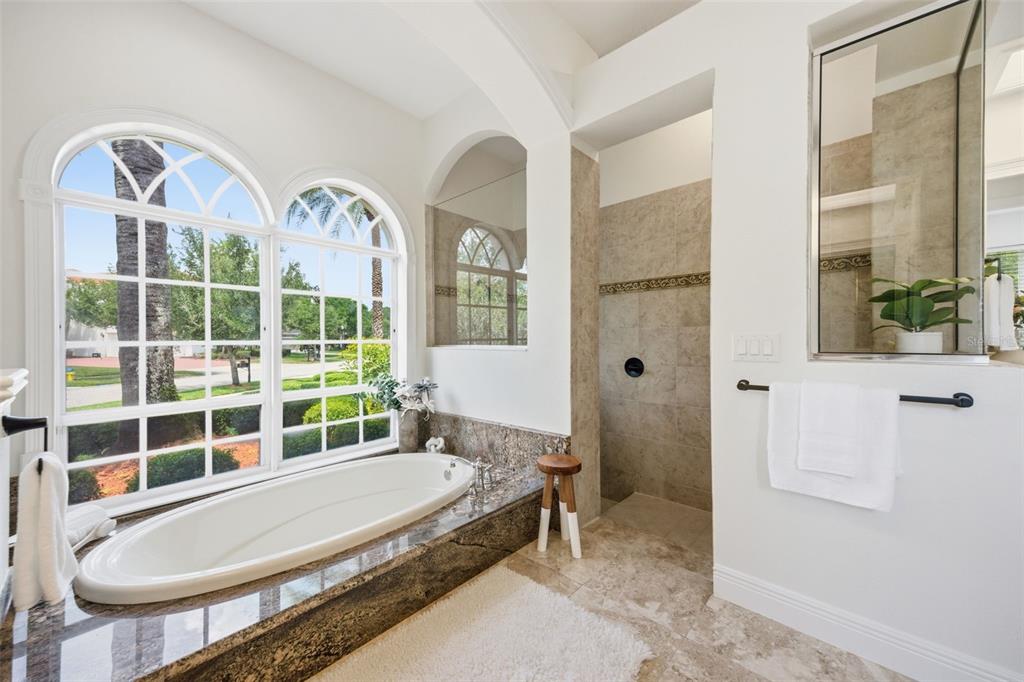 9409 Tree Tops Lake Road Tampa, FL 33626 - Photo 31 of 97