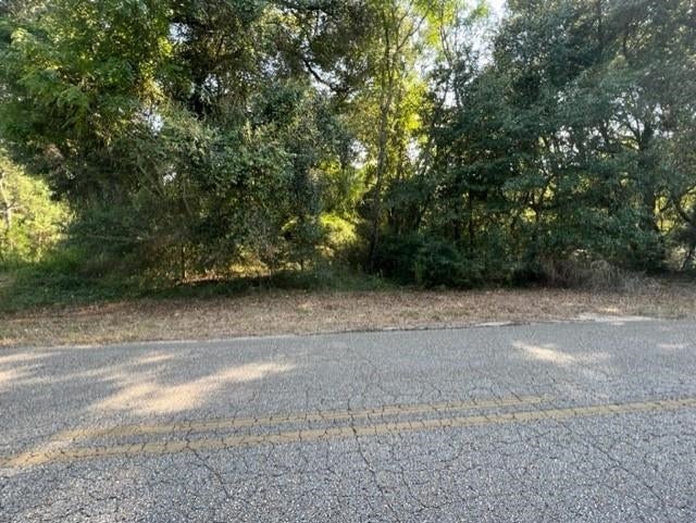 0 Rockhole Bridge Road Florala, AL 36442 - Photo 5 of 7 Gallery Image 5