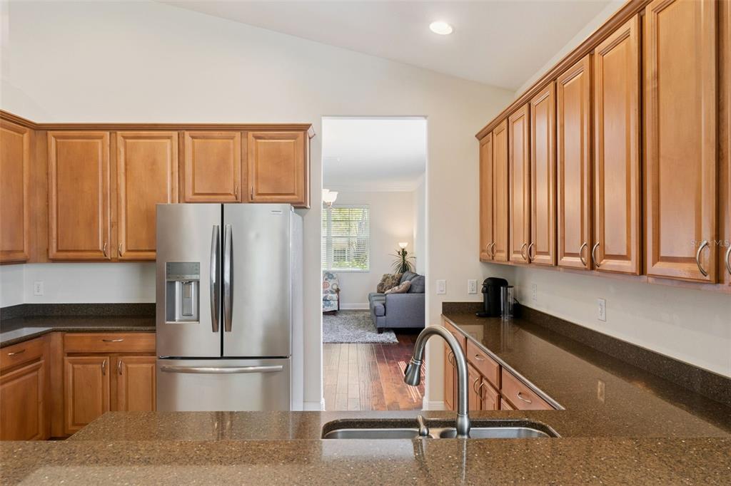5271 Rishley Run Way Mount Dora, FL 32757 - Photo 19 of 35