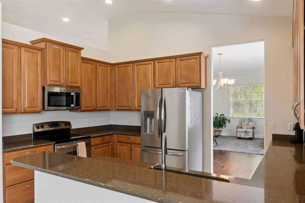 5271 Rishley Run Way Mount Dora, FL 32757 - Photo 20 of 35