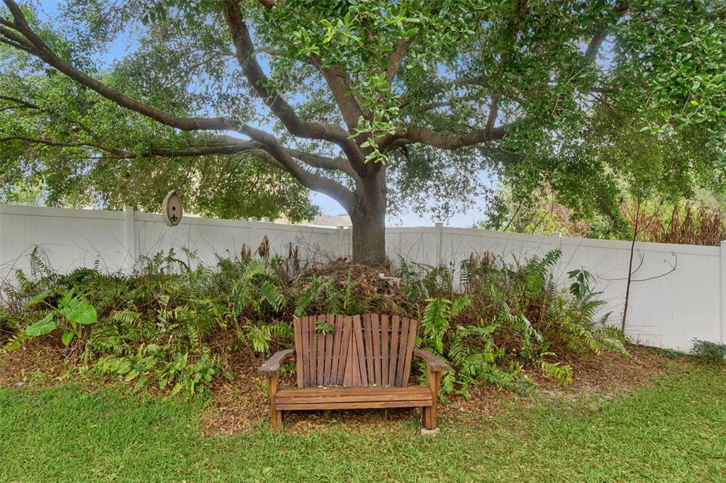 5271 Rishley Run Way Mount Dora, FL 32757 - Photo 6 of 35