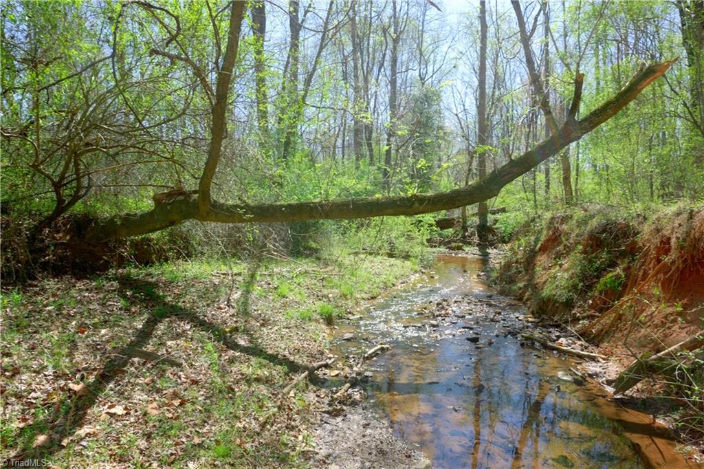 4 Alexander Farm Road Harmony, NC 28634 - Photo 5 of 26