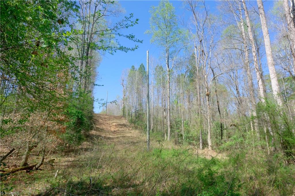 4 Alexander Farm Road Harmony, NC 28634 - Photo 7 of 26