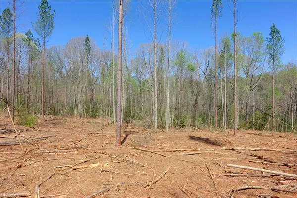 $169,000 | 4 Alexander Farm Road, Harmony, NC 28634