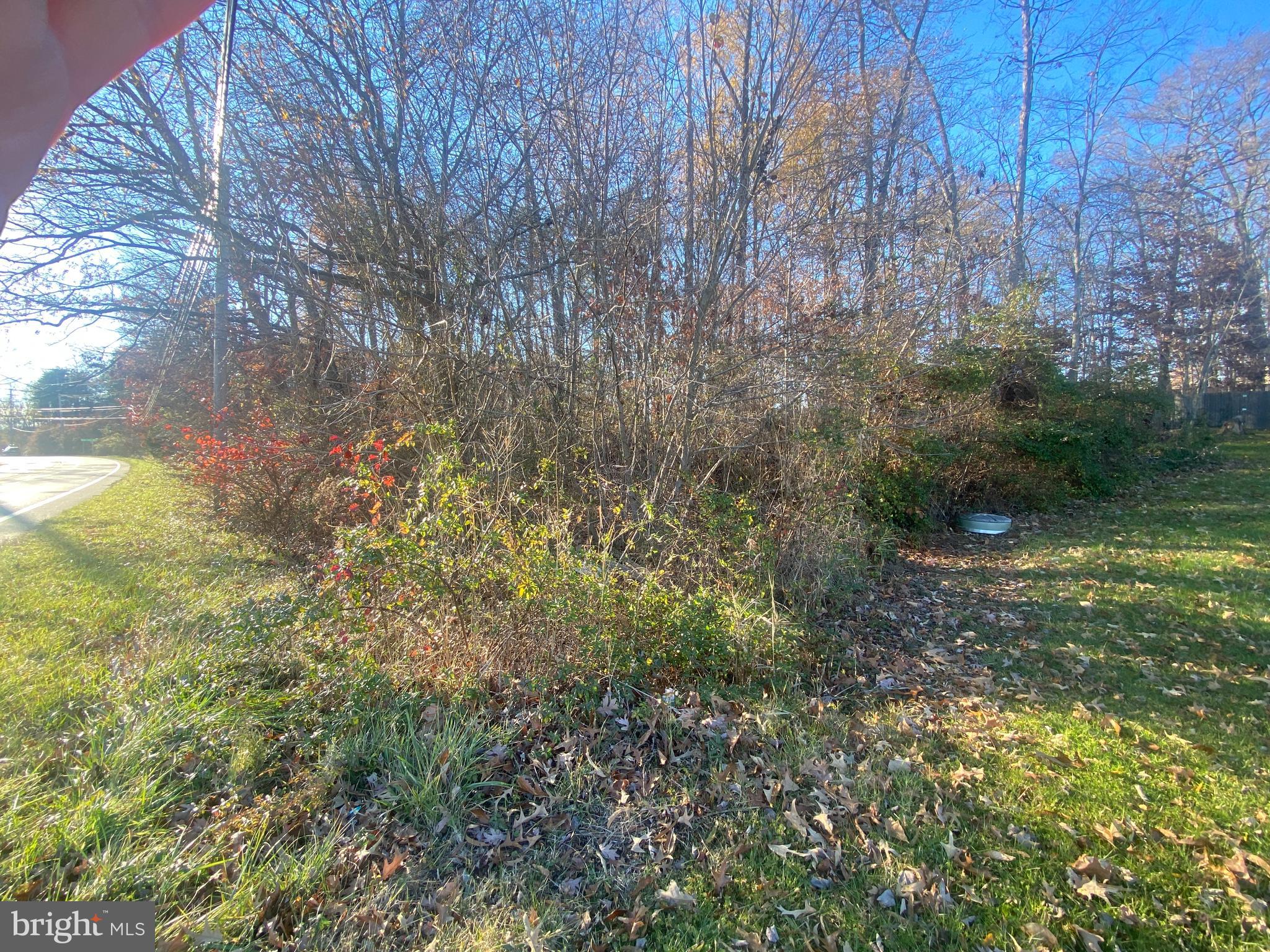 Philadelphia Road Joppa, MD 21085 - Photo 2 of 3 a view of a yard with large trees