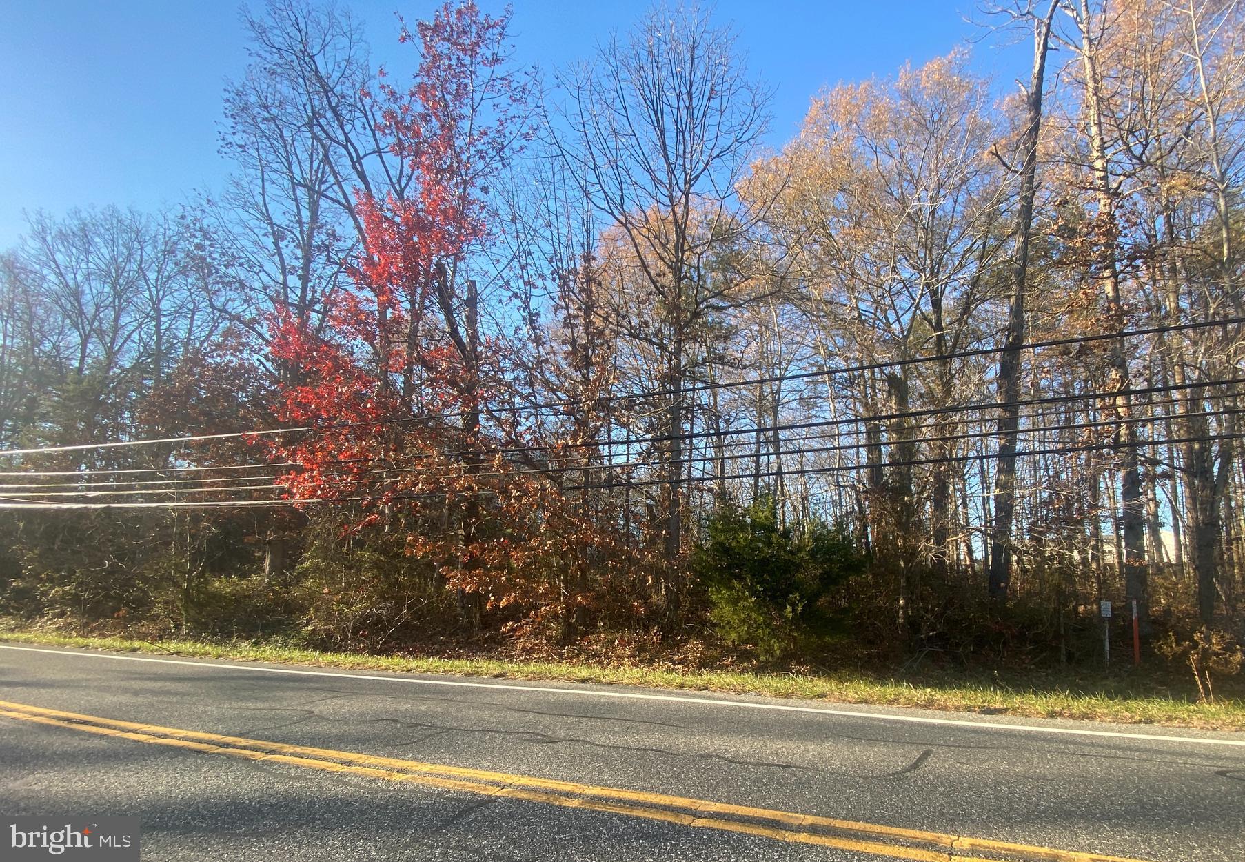 Philadelphia Road Joppa, MD 21085 - Photo 3 of 3 a view of a yard from a building