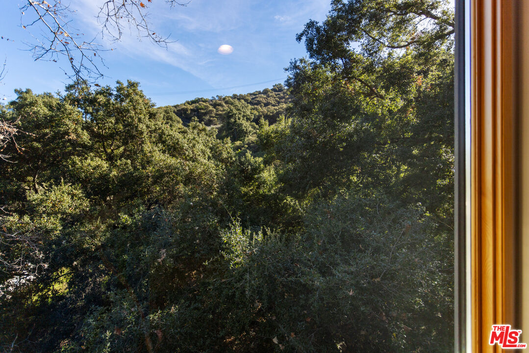 3217 Canon Place Topanga, CA 90290 - Photo 20 of 49 a view of a yard