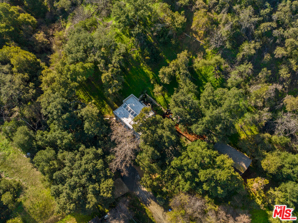 3217 Canon Place Topanga, CA 90290 - Photo 35 of 49 a view of a tree