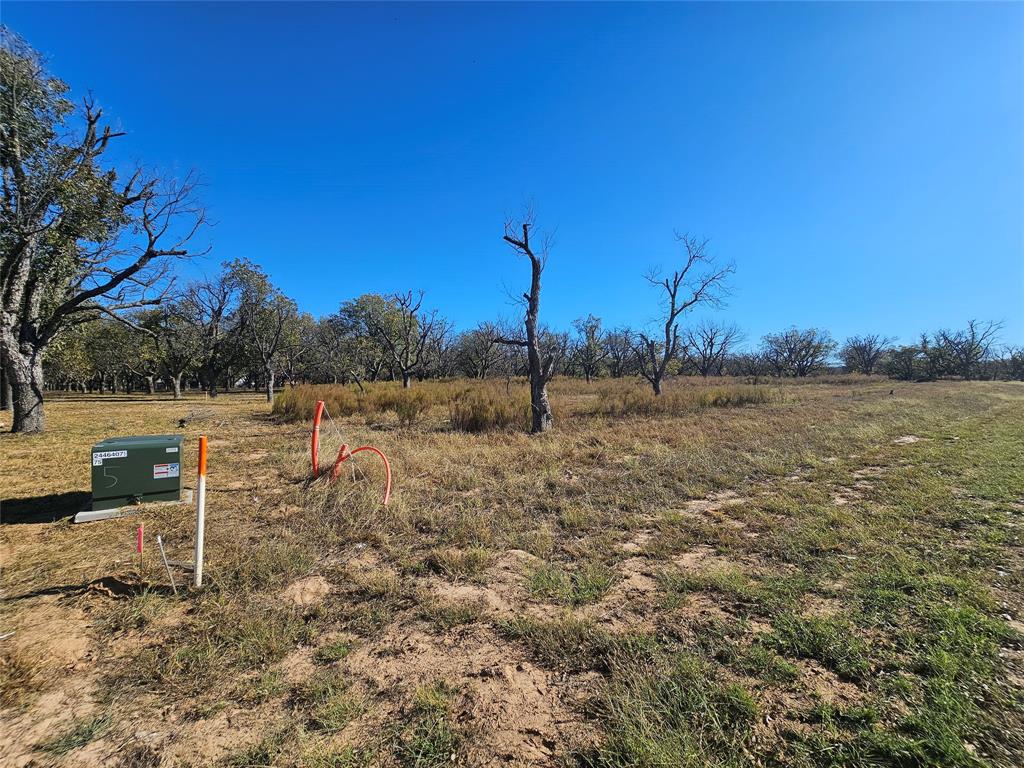 3030 West Landings Road North Granbury, TX 76049 - Photo 11 of 33 a backyard of a house with lots of green space