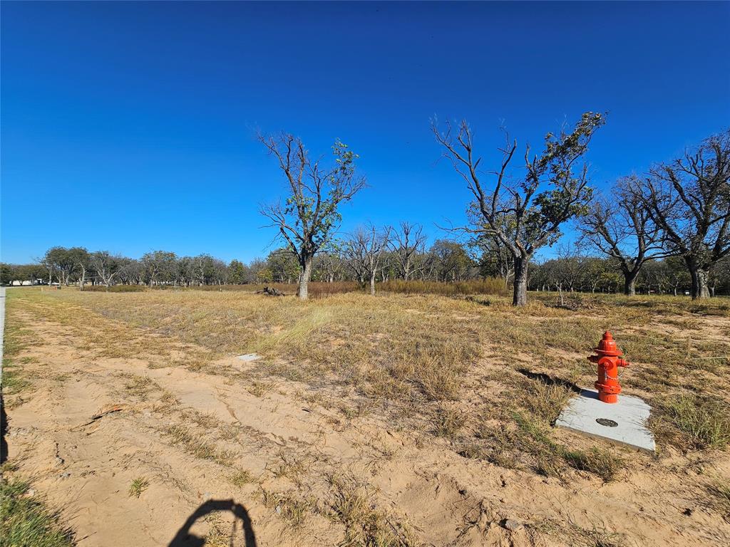 3030 West Landings Road North Granbury, TX 76049 - Photo 12 of 33