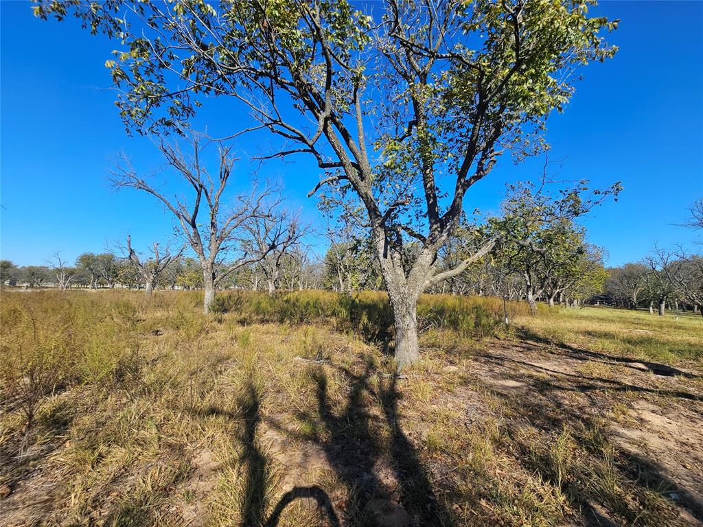 3030 West Landings Road North Granbury, TX 76049 - Photo 13 of 33 a view of an outdoor space and a yard
