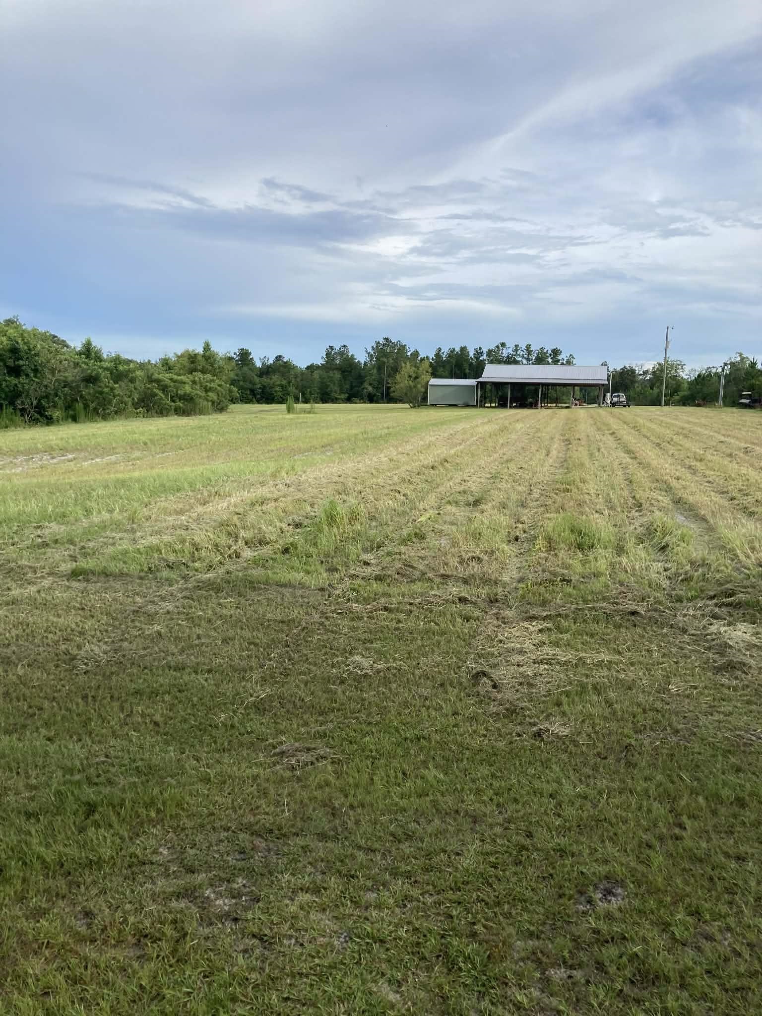 503 C M White Road Quincy, FL 32351 - Photo 11 of 18