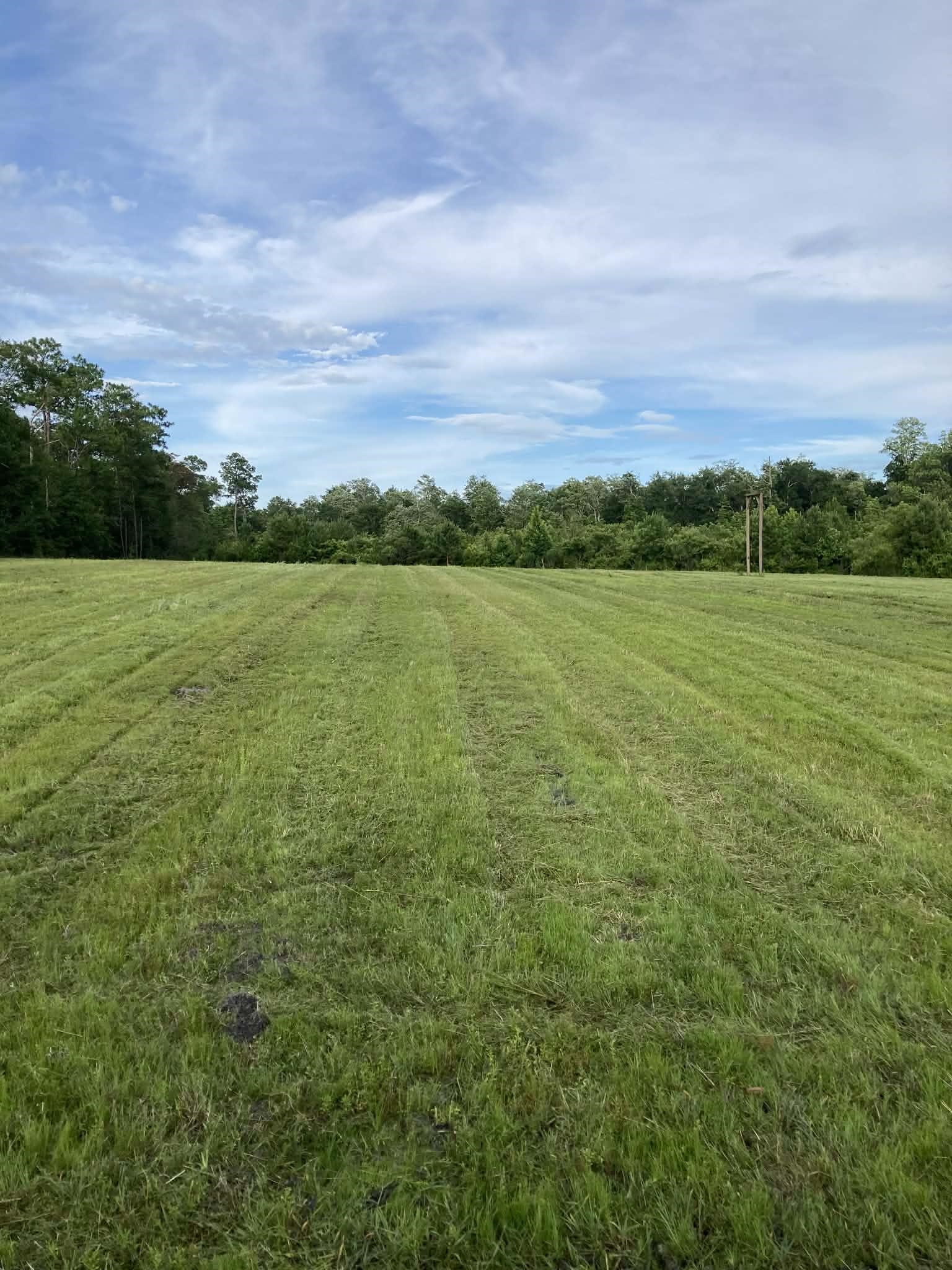 503 C M White Road Quincy, FL 32351 - Photo 12 of 18