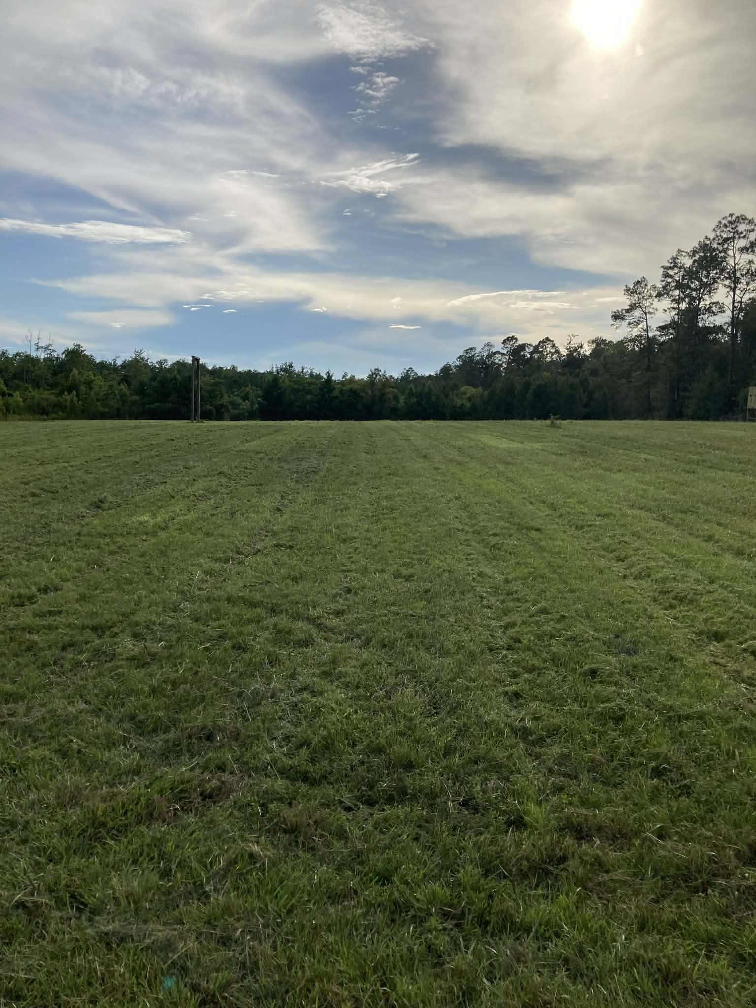 503 C M White Road Quincy, FL 32351 - Photo 16 of 18