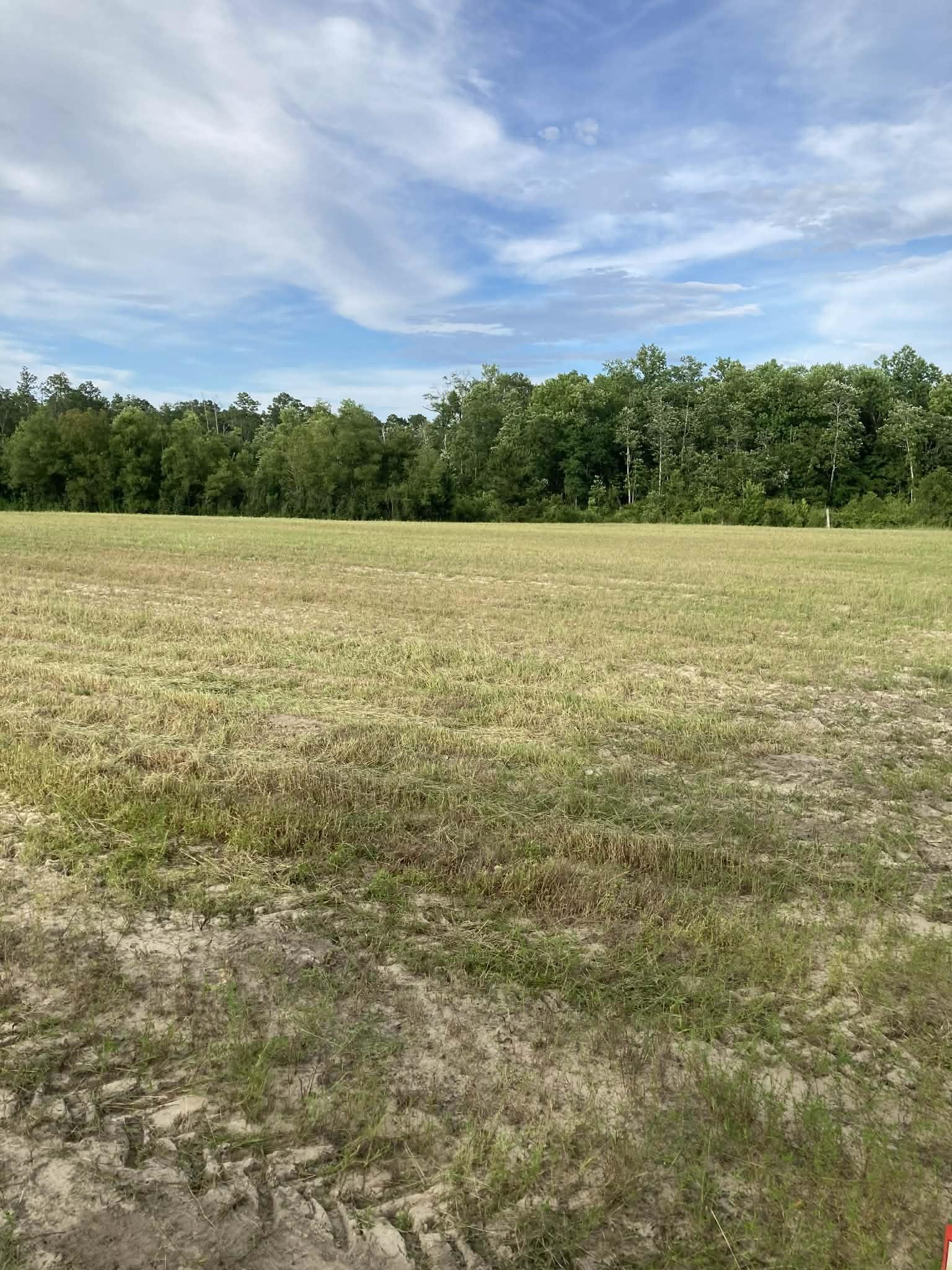 503 C M White Road Quincy, FL 32351 - Photo 17 of 18