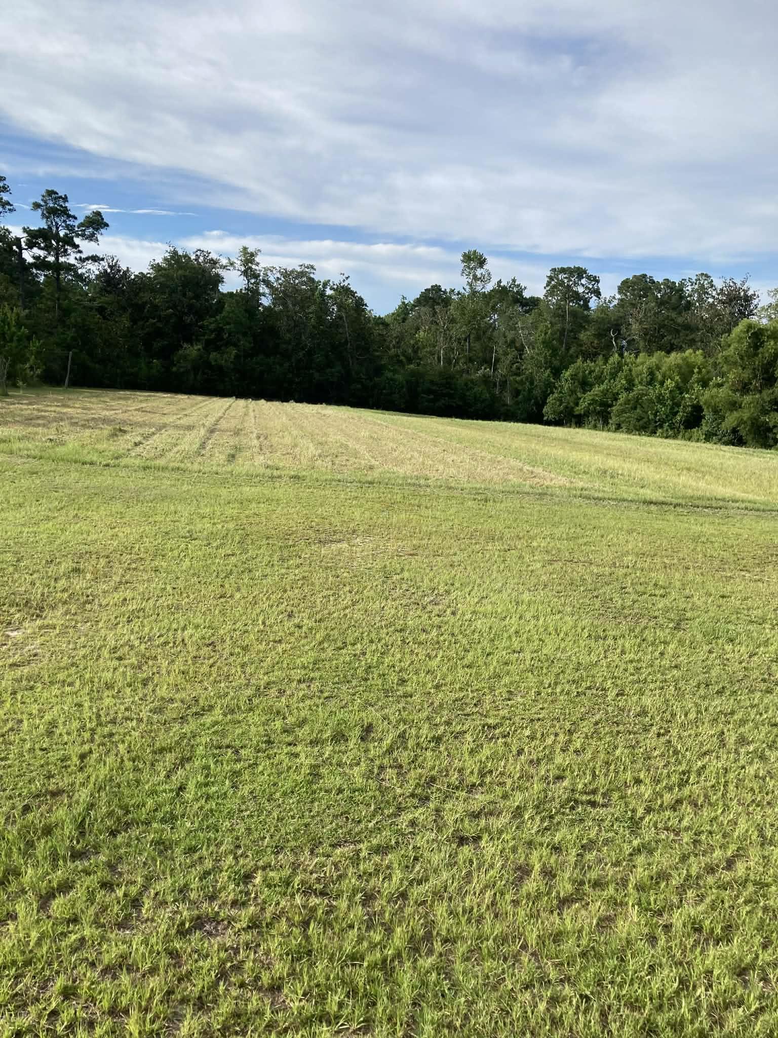 503 C M White Road Quincy, FL 32351 - Photo 5 of 18