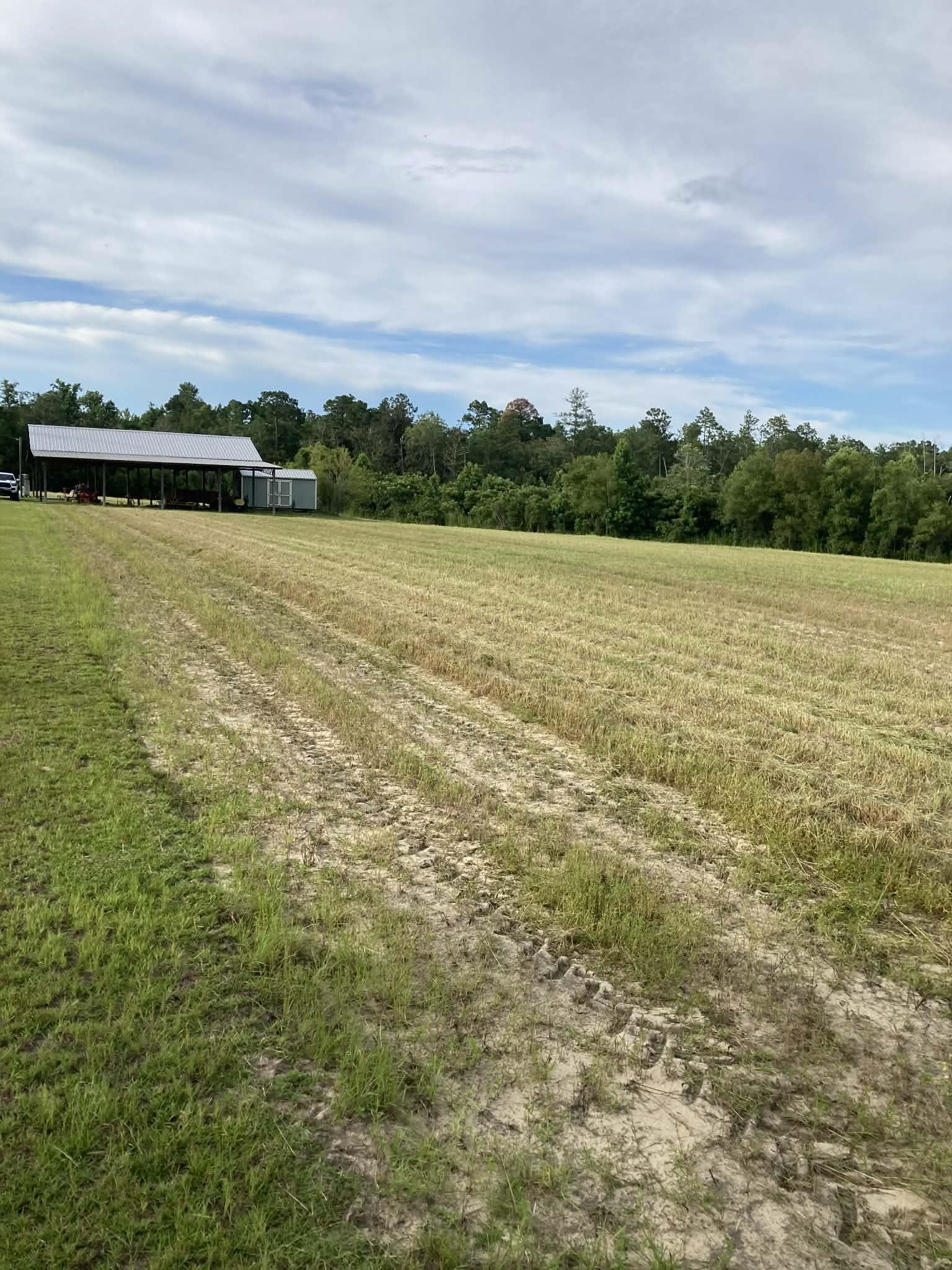 503 C M White Road Quincy, FL 32351 - Photo 9 of 18