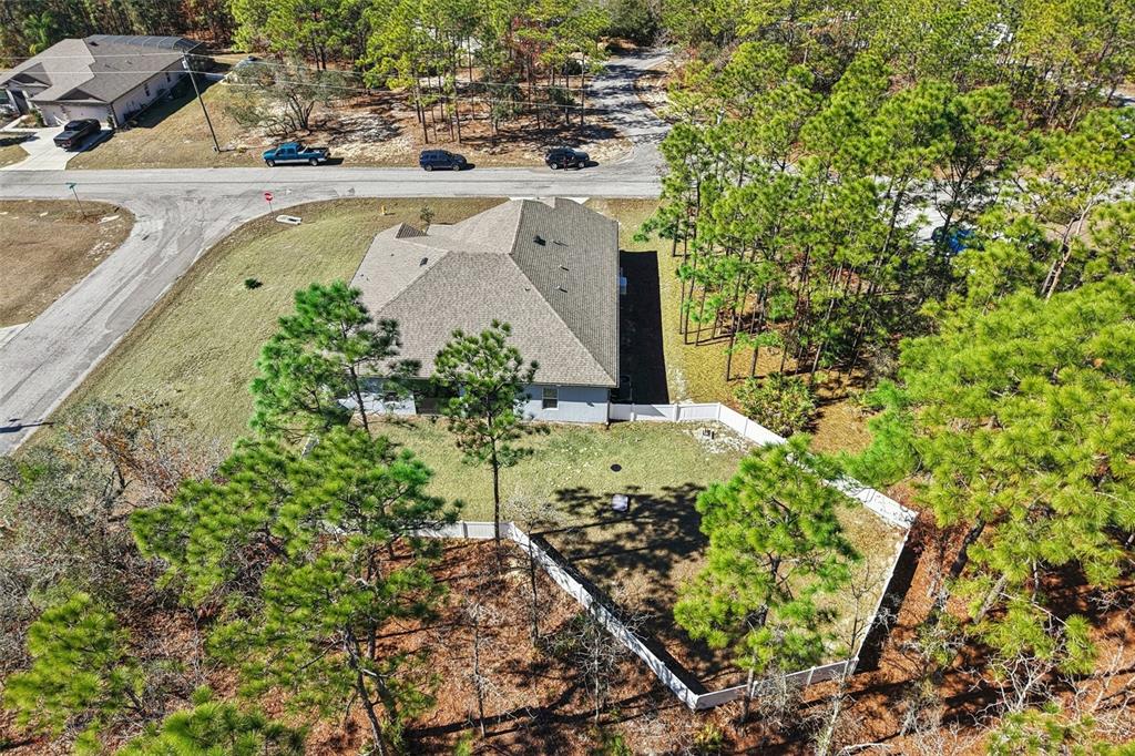 21 Mayten Court North Homosassa, FL 34446 - Photo 35 of 37 a view of a yard with plants