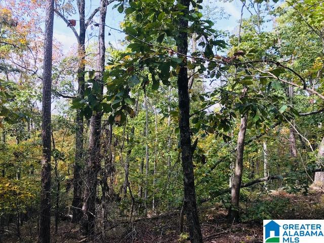 Enclave Drive, Unit 34 Springville, AL 35146 - Photo 8 of 12