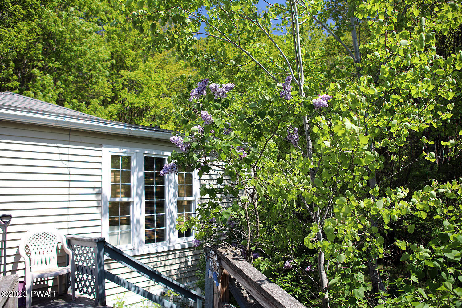 33 Buckley Road Equinunk, PA 18417 - Photo 24 of 30 Lilacs