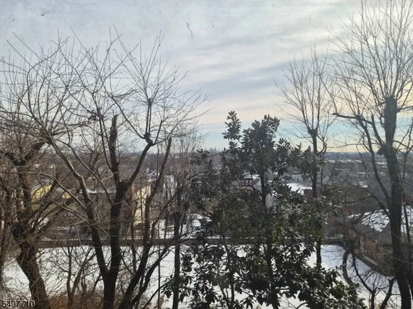 a backyard of a house with lots of trees
