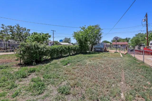 a view of a backyard with potted plants and trees