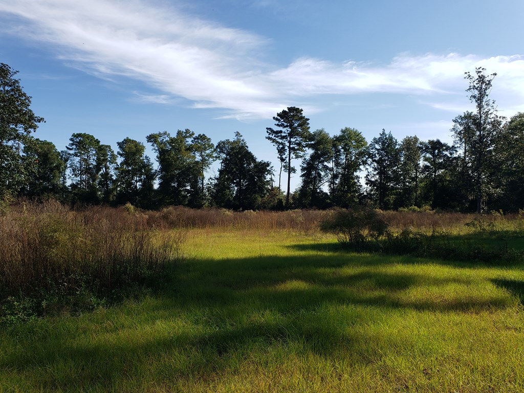 2105 Oscar Helms Road Gordon, AL 36343 - Photo 11 of 30 Gallery Image 11