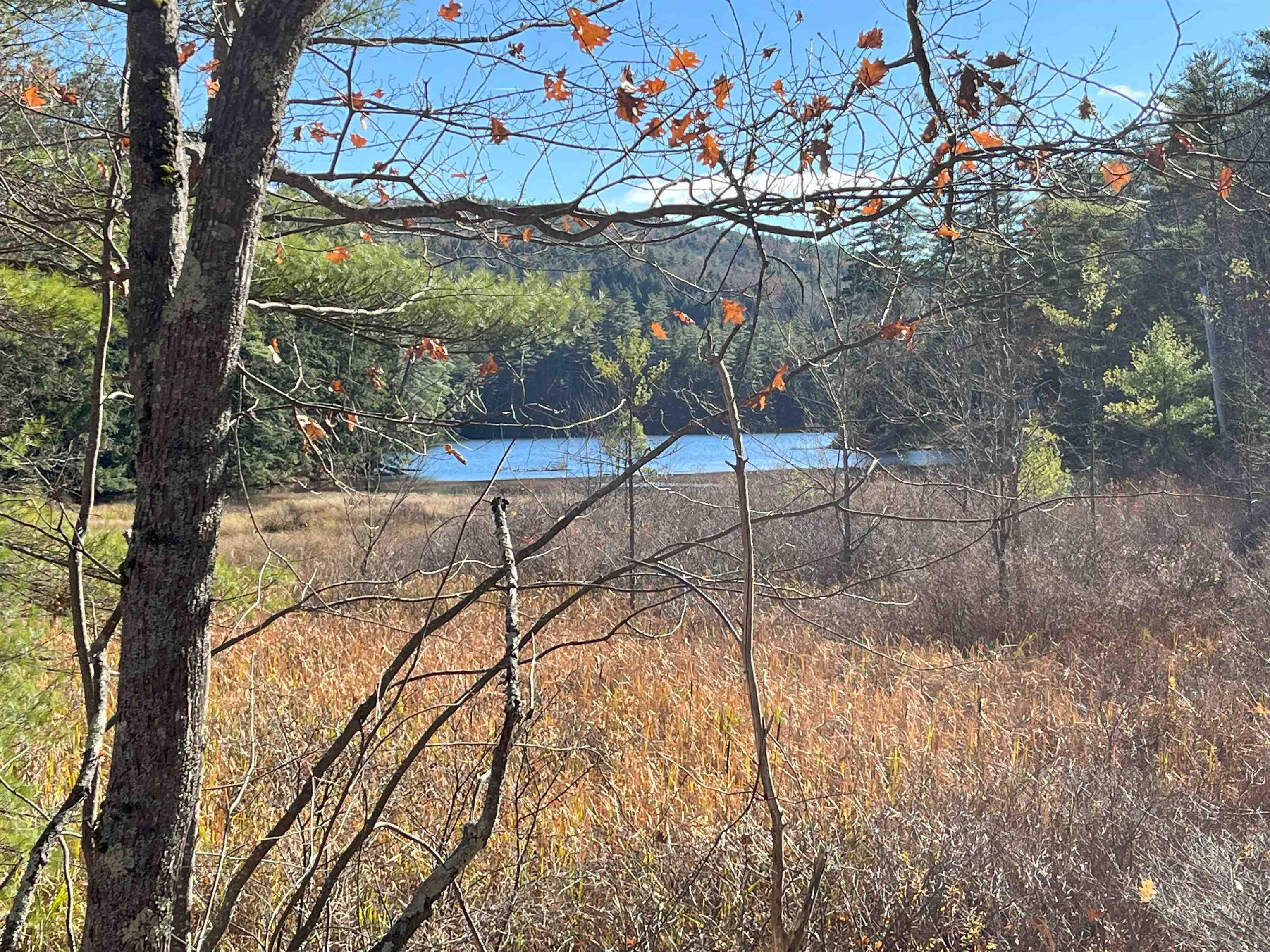 2871 Eaton Road, Unit 24 Eaton, NH 03849 - Photo 7 of 7