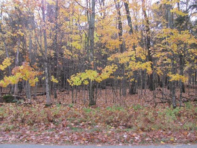 Three Connors Road, Unit LOT 6 Three Lakes, WI 54562 - Photo 1 of 7 Gallery Image 1