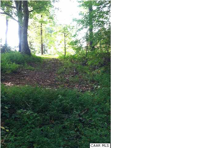 Locust Lane Ruckersville, VA 22968 - Photo 2 of 3 a view of a backyard