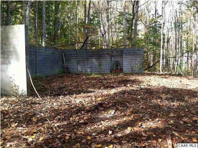 Locust Lane Ruckersville, VA 22968 - Photo 3 of 3 a backyard of a house with lots of green space