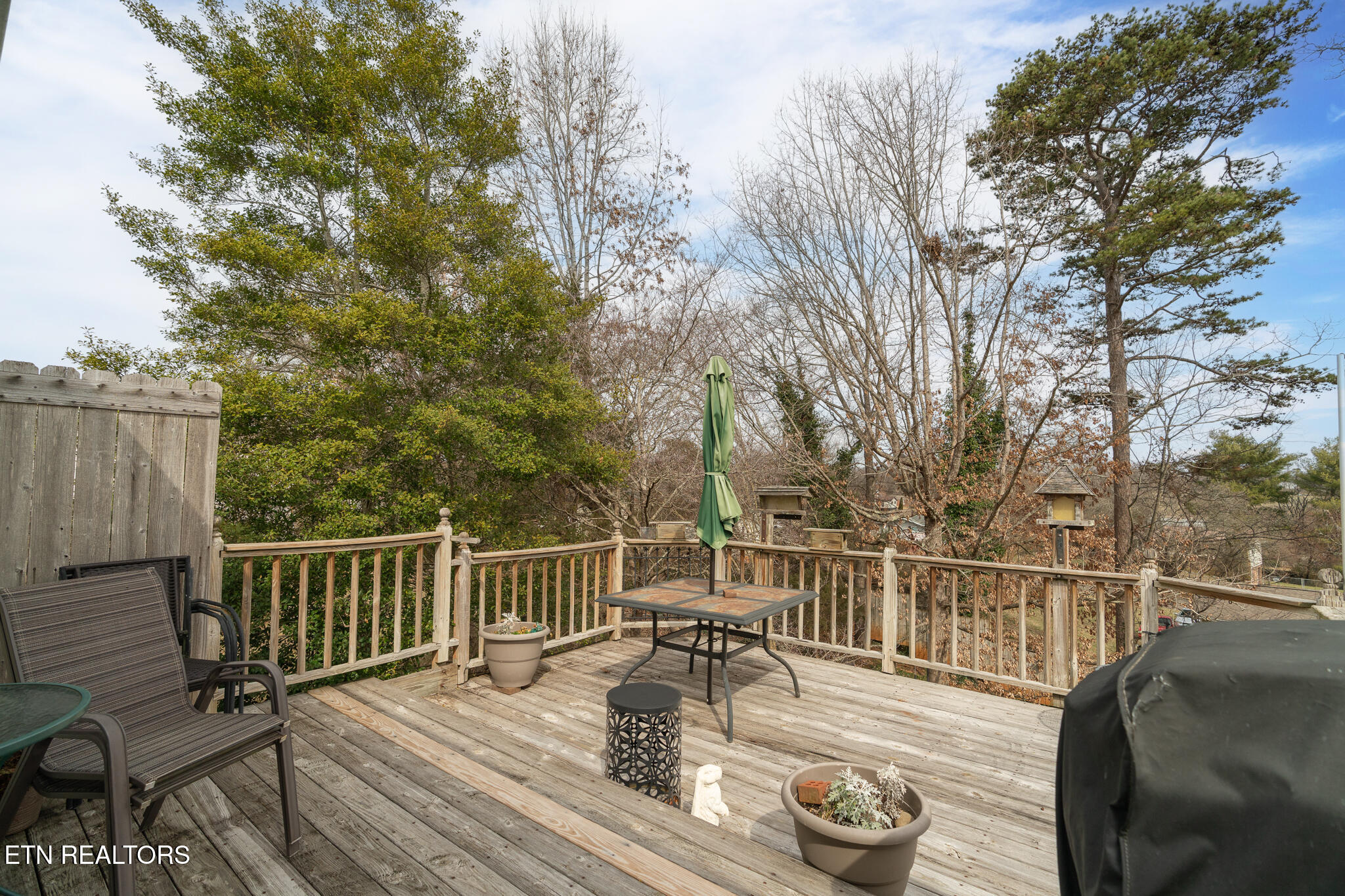 208 Blue Ridge Lane Seymour, TN 37865 - Photo 17 of 32 untitled-23