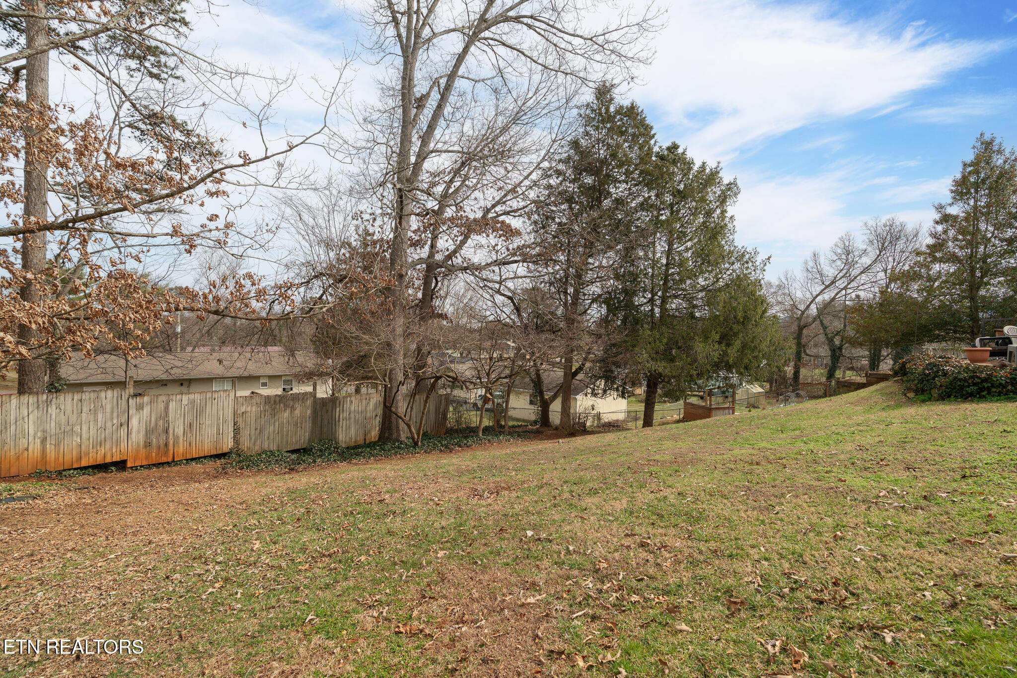 208 Blue Ridge Lane Seymour, TN 37865 - Photo 22 of 32 untitled-28