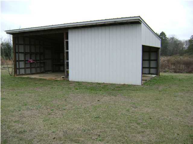 24270 Mcphail Farm Road Florala, AL 36442 - Photo 4 of 25 a view of a backyard