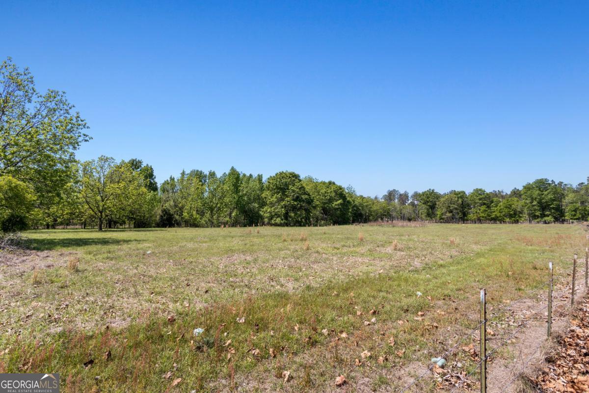 1747 Perkins Green Fork Road Millen, GA 30442 - Photo 40 of 49