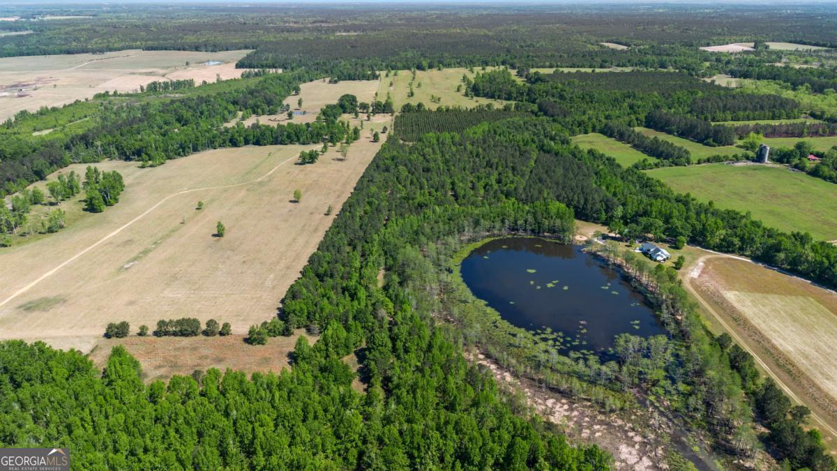 1747 Perkins Green Fork Road Millen, GA 30442 - Photo 48 of 49