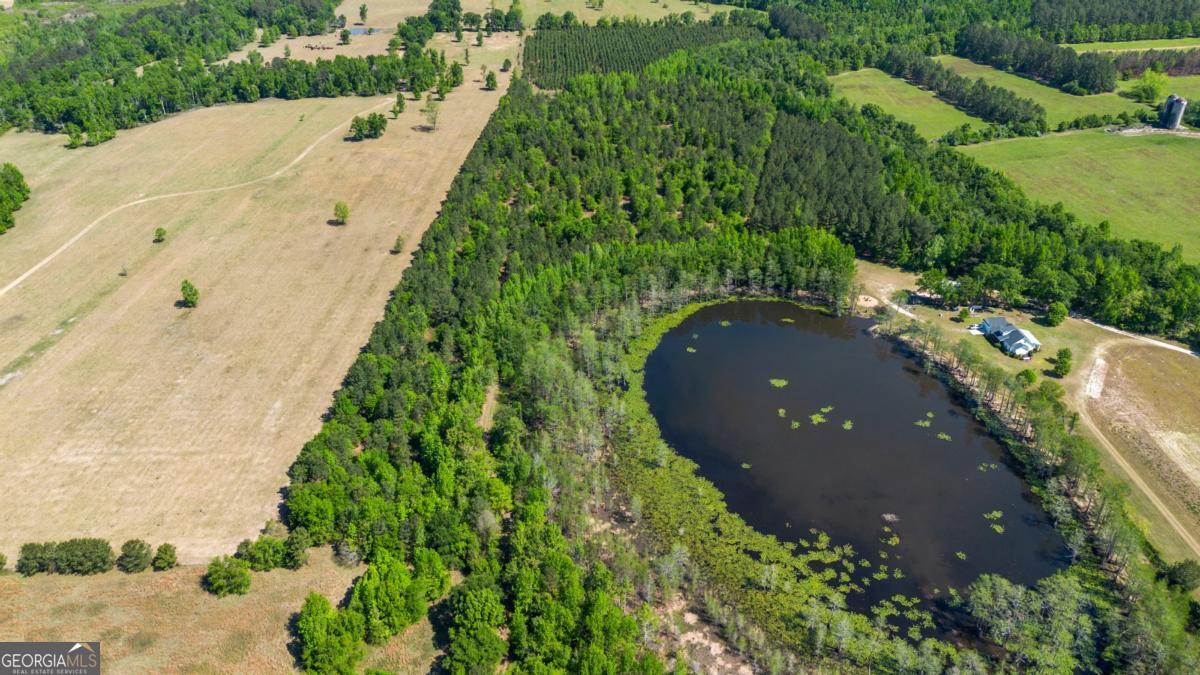 1747 Perkins Green Fork Road Millen, GA 30442 - Photo 49 of 49