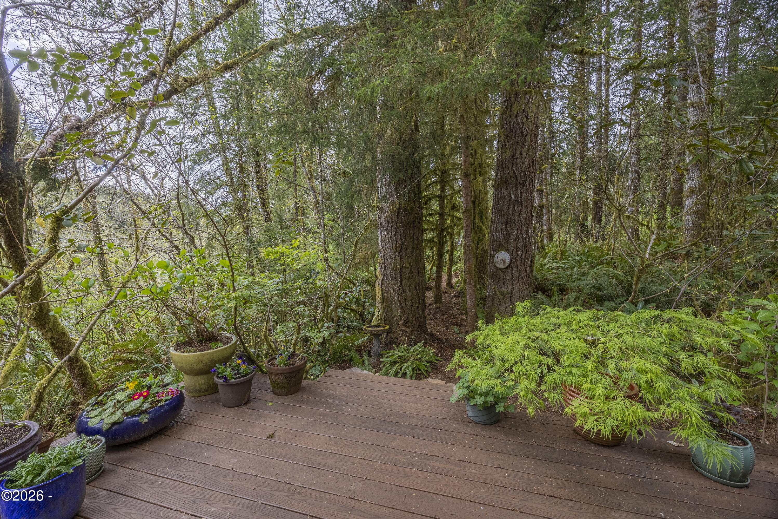4110 Logsden Road Siletz, OR 97380 - Photo 38 of 52 Side Deck Nature Trail to Creek