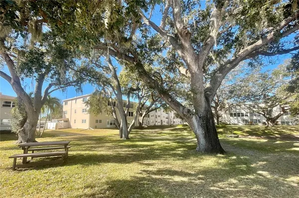 a view of swimming pool with a tree