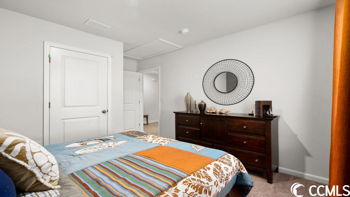 541 Talisman Trail Longs, SC 29568 - Photo 11 of 40